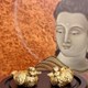 Con vật trưng bày mạ vàng 24K