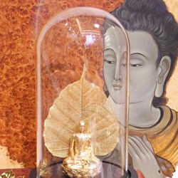 Tượng phật mạ vàng trong lồng kính