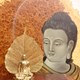 Tượng phật mạ vàng trong lồng kính