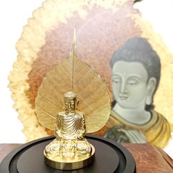 Tượng phật mạ vàng trong lồng kính