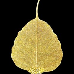 Lá bồ đề ốp lưng điện thoại/ khung tranh mạ vàng 24K